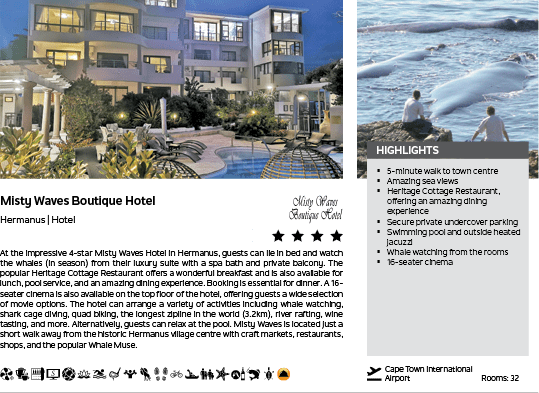 A hotel advertisement with a picture of a hotel and a whale. Description generated by AI