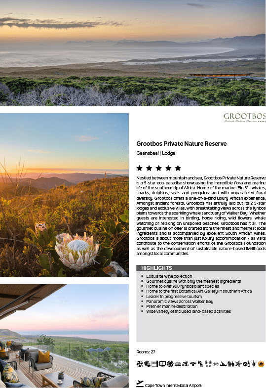 A sunset over a beach. Description generated by AI