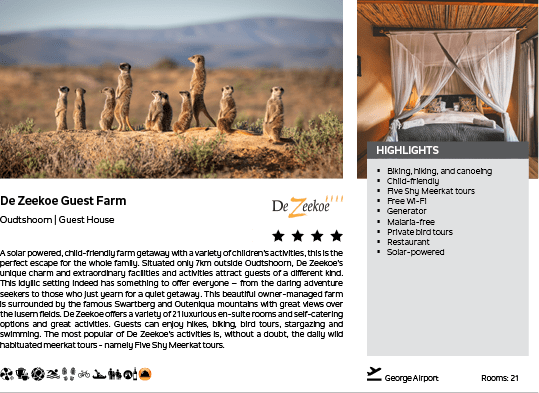 A group of five zebras standing on a rocky hill. Description generated by AI