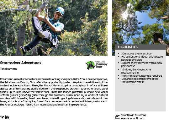 A man is swinging on a rope in a tree. Description generated by AI
