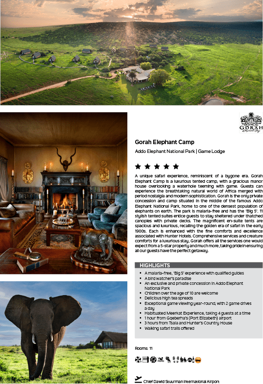 A large elephant standing in a field. Description generated by AI
