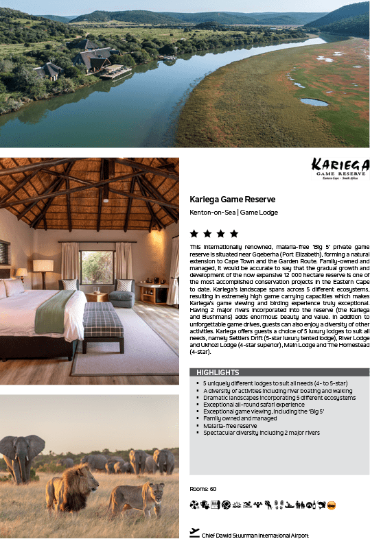 A lion is standing in a field. Description generated by AI