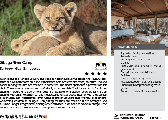 A lion cub is sitting on a rock. Description generated by AI