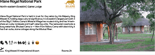 A picture of a house with a tree in front of it. Description generated by AI