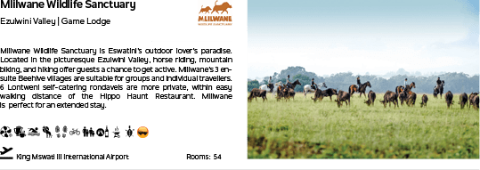 A group of horses in a field. Description generated by AI