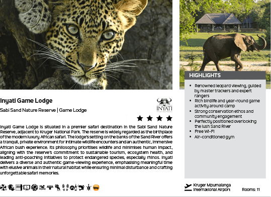 A leopard is looking at the camera. Description generated by AI
