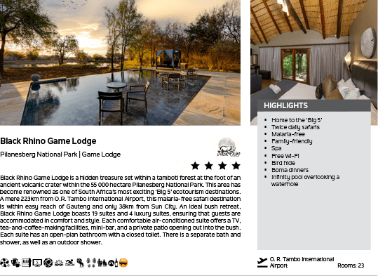 An advertisement for Black Rhino Game Lodge, featuring a photo of a pool and patio area. AI generated content