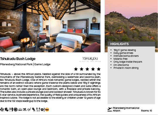 A brochure for the Tjikudi Bush Lodge features a photo of a bedroom with a bed and a couch. AI generated content
