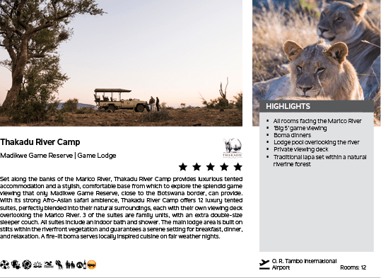 A lion and a lioness are shown on a website page. AI generated content