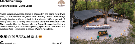 A camping area with a tree in the background. Description generated by AI