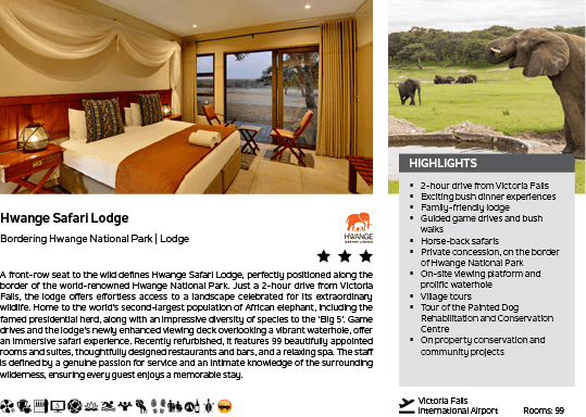 A brochure for a safari lodge. Description generated by AI