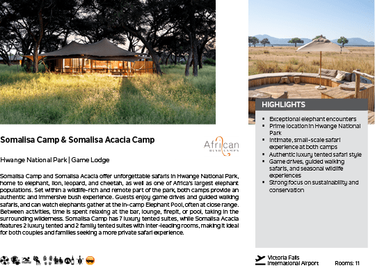 A brochure for a camp in Africa. Description generated by AI