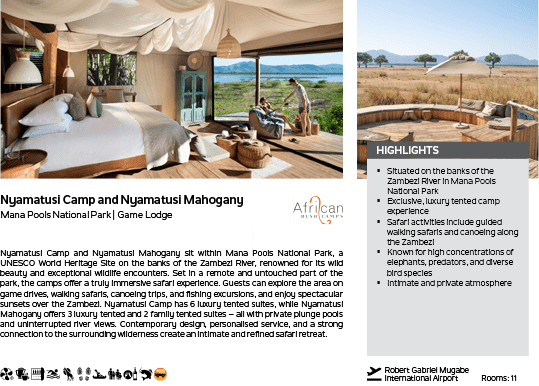 A brochure for a camp in Africa. Description generated by AI