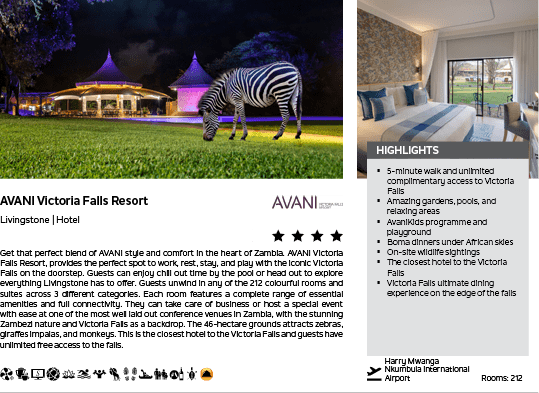 A zebra is standing in a field at night. Description generated by AI