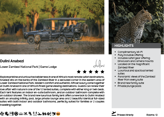A picture of a leopard in a zoo. Description generated by AI