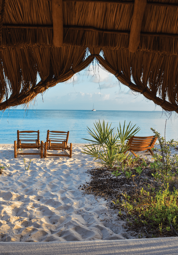A hammock is hanging from a wooden structure. Description generated by AI