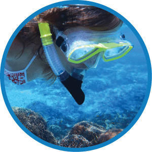 A woman wearing a green and white mask is swimming in the ocean. Description generated by AI