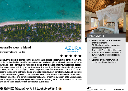 A picture of a beach with palm trees. Description generated by AI