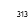 313