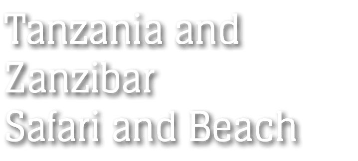 Tanzania and Zanzibar Safari and Beach