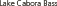 EPSText