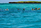 snorkelers in indian ocean near wasini island