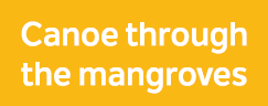 Canoe through the mangroves