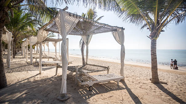 A beach umbrella with a white canopy and a bench underneath it. Description generated by AI