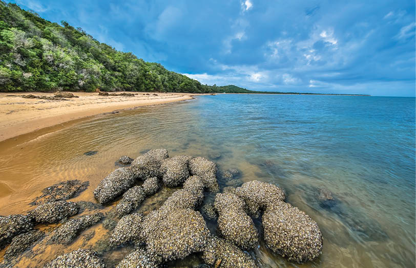 A rocky beach with a body of water. Description generated by AI