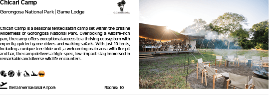 A picture of a camping area with a grill and a dining table. Description generated by AI