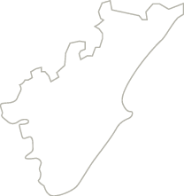 Polygon