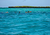 snorkelers in indian ocean near wasini island
