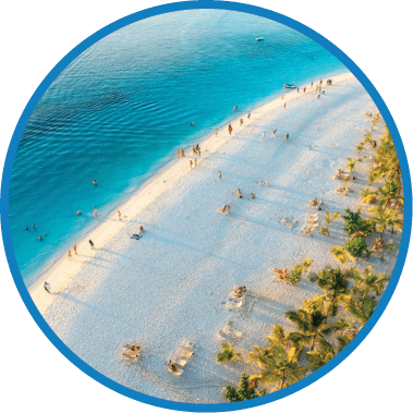 A beach with people and palm trees. Description generated by AI