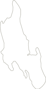 Polygon