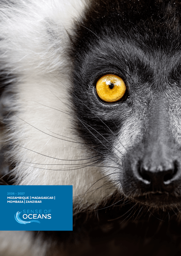 A black and white photo of a black and white animal. Description generated by AI
