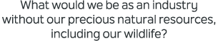 What would we be as an industry without our precious natural resources, including our wildlife?