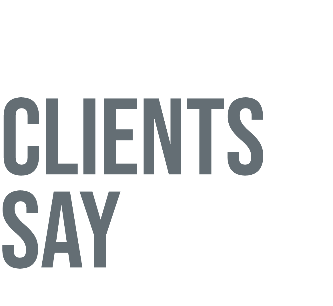 what our clients say