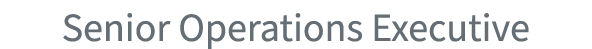 Senior Operations Executive